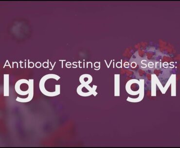 Antibody Testing Video Series: IgG and IgM