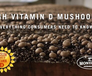 Monterey Mushrooms High Vitamin D Consumers Video