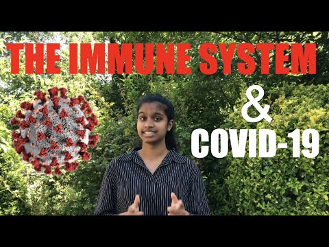 Breakthrough Junior Challenge 2020 | The Connection Between COVID-19 & The Immune System