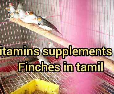 Vitamins supplements for finches in tamil