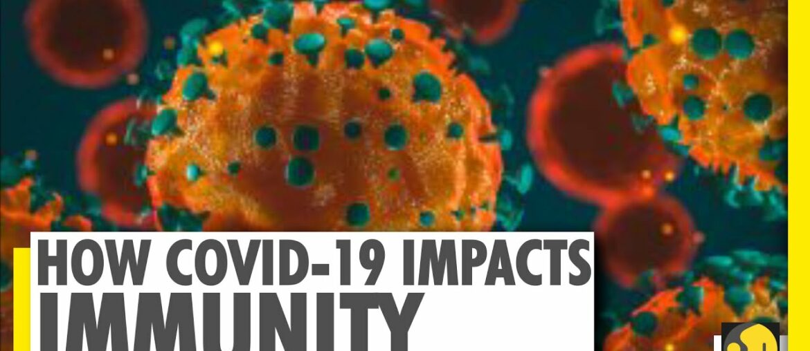 New study reveals how COVID-19 depletes our immunity | WION News