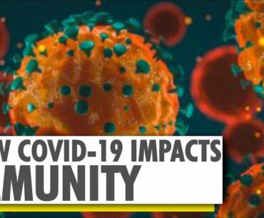 New study reveals how COVID-19 depletes our immunity | WION News