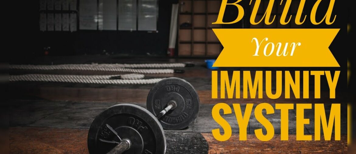 Build Your Immunity System Properly | Automan Fitness GYM |