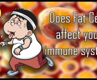 Does Fat Cells Tend to Decrease Your Immunity? ( Health & Lifestyle: Nuturemite )