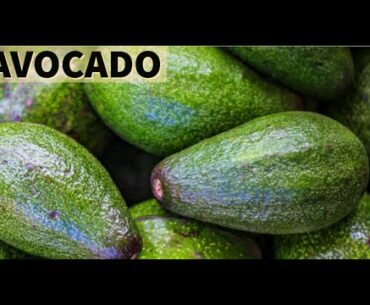 AVOCADO: Preparation and Nutrition Benefits