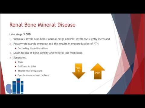 Bone Mineral Disorder: Calcium, Vitamin D and Phosphorus