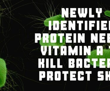 Newly Identified Protein Needs Vitamin A To Kill Bacteria Protect Skin | Slim Fast Secret