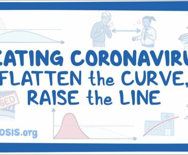 Beating Coronavirus: Flattening the Curve, Raising the Line