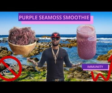 Immunity Boosting Purple Sea Moss Smoothie That MAY Help Fight COVID-19