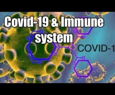 Covid-19 and immune system,how to boost your immune power || Natural Healing