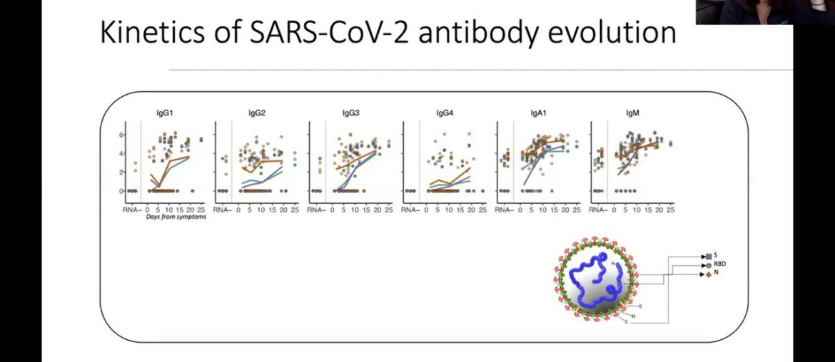 Decoding Covid, June 15: Coronavirus immunity and Approaches to Vaccine Development