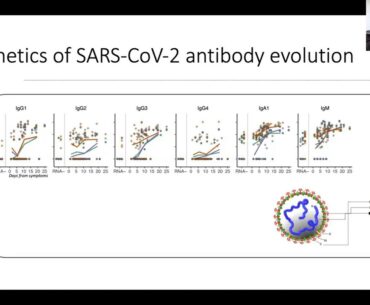 Decoding Covid, June 15: Coronavirus immunity and Approaches to Vaccine Development