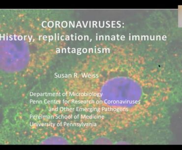 Decoding COVID, May 4: History, Replication, and Innate Immune Antagonism with Susan R. Weiss