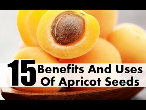 Apricot Kernel health benefits and antioxident that cures cancer with vitamin B17