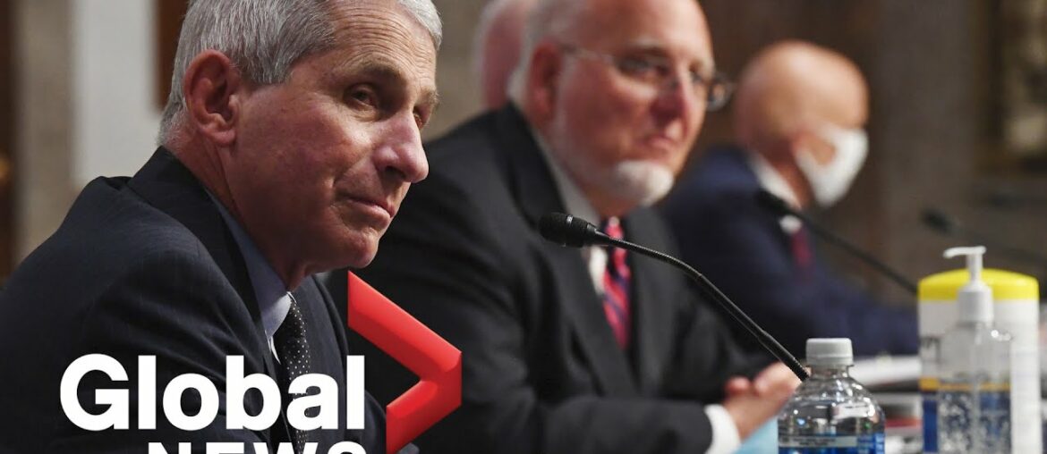 Coronavirus: Fauci testifies before Senate on returning to work, school amid COVID-19 | FULL