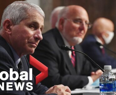 Coronavirus: Fauci testifies before Senate on returning to work, school amid COVID-19 | FULL