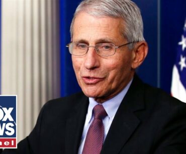 Dr Fauci testifies before Senate on COVID-19 progress