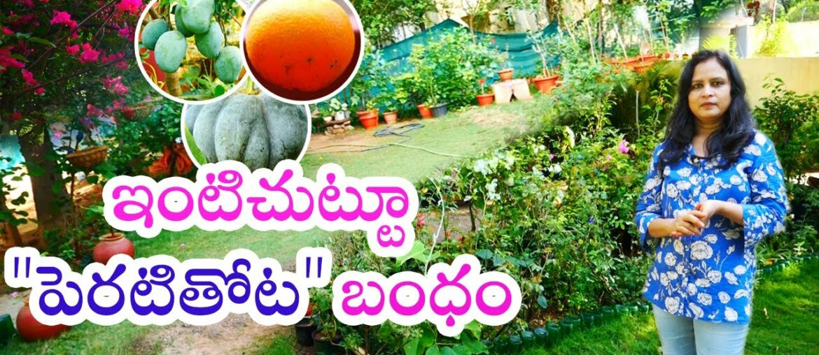 Beautiful Kitchen Garden With Vegetables And Flowers By Radhika || Rythunestham ||