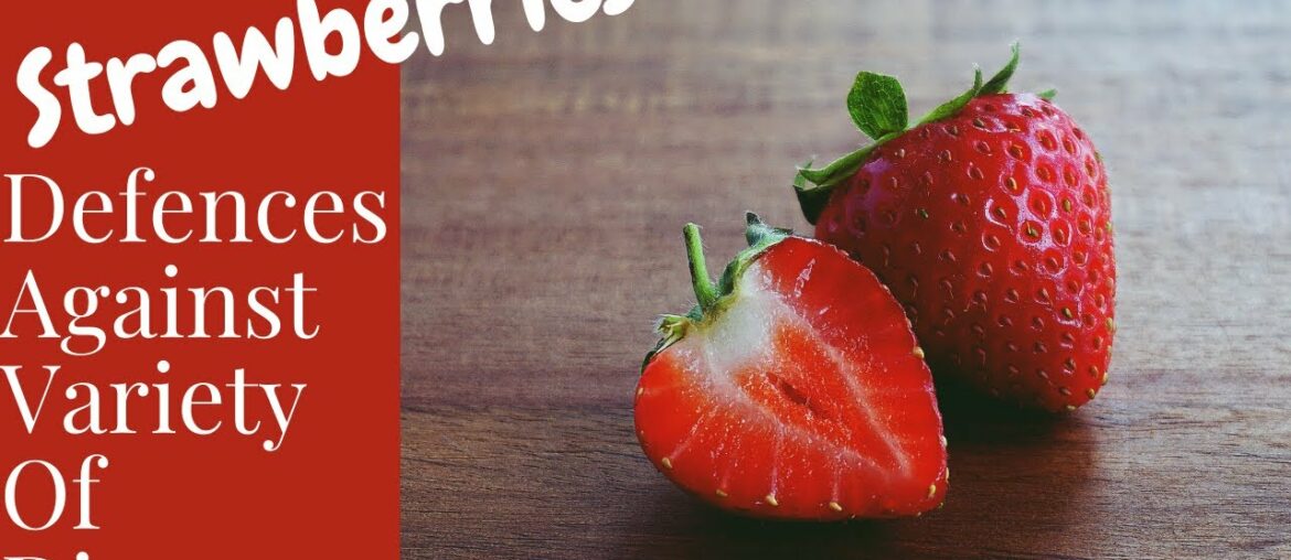 Strawberry || Strawberry Nutrition || Strawberry Calories || Strawberry Benefits