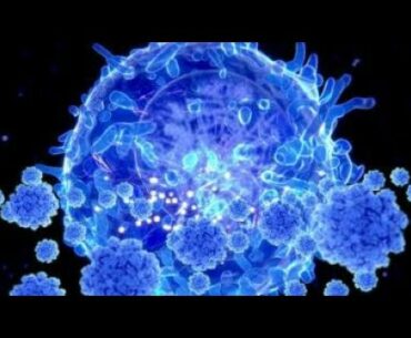 Coronavirus: Immunity may be more widespread than tests suggest