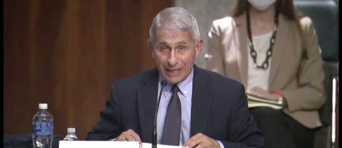 LIVE: Dr. Fauci testifies at Senate panel hearing on COVID-19