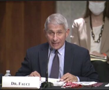 LIVE: Dr. Fauci testifies at Senate panel hearing on COVID-19