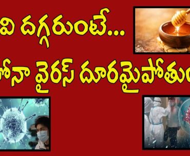 BEST AYURVEDIC  Home immunity boosters| Telugu Vaakitlo