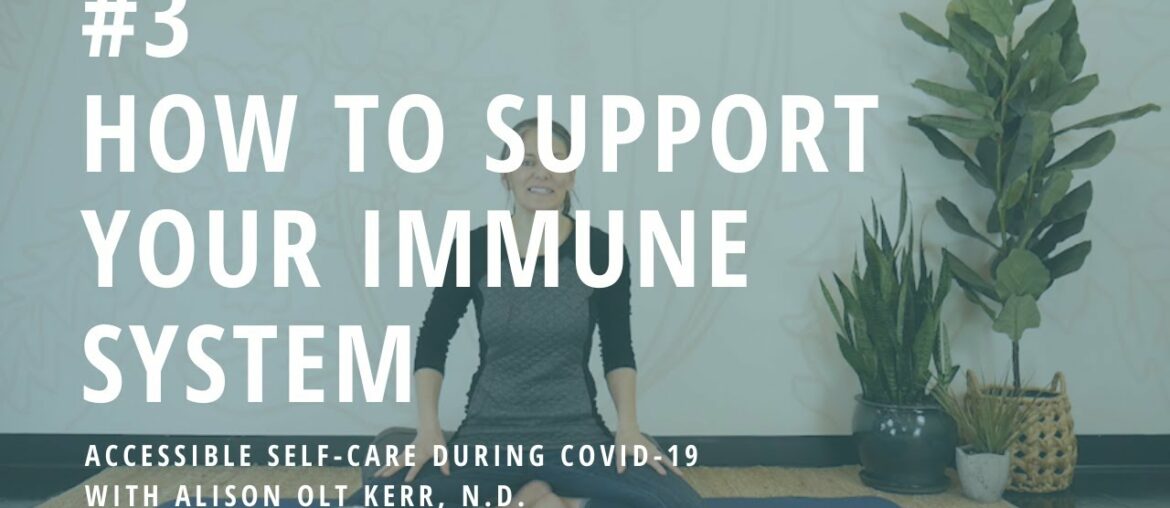 Tip #3: How to Support Your Immune System | Accessible Self-Care During COVID-19 | Yoga Wild