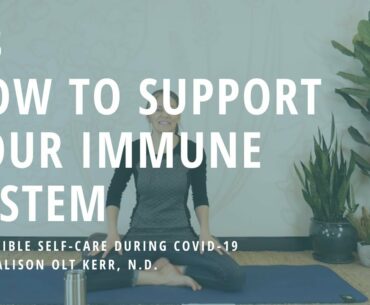 Tip #3: How to Support Your Immune System | Accessible Self-Care During COVID-19 | Yoga Wild