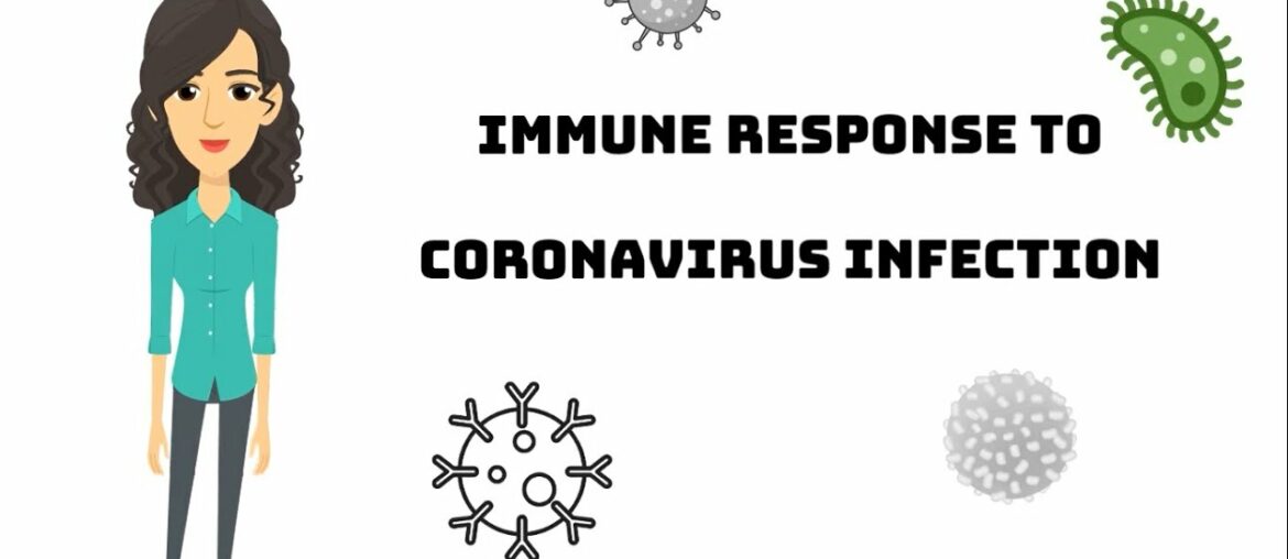 Immune Response to Coronavirus Infection