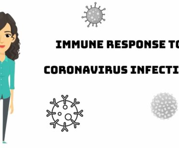 Immune Response to Coronavirus Infection