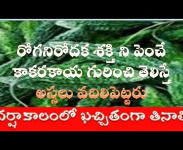 Boost Your Immunity with Natural Foods I Health Tips in Telugu I Good Health and More/kakarakaya