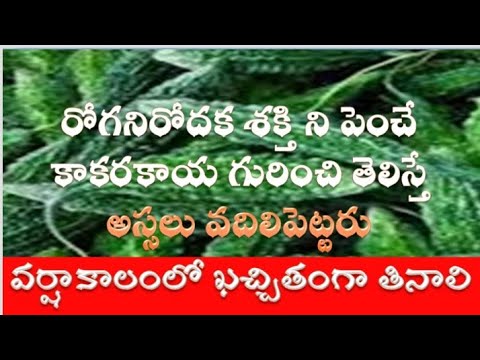 Boost Your Immunity with Natural Foods I Health Tips in Telugu I Good Health and More/kakarakaya