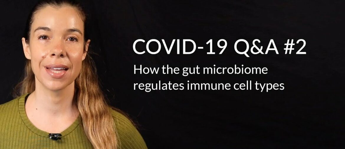 How the gut microbiome regulates immune cell types | Dr. Rhonda Patrick