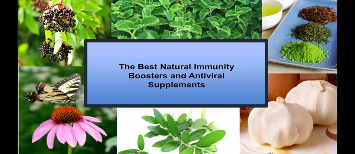 BEST NATURAL IMMUNITY BOOSTERS AND ANTIVIRAL SUPPLEMENTS