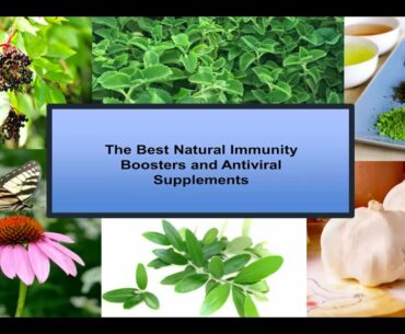 BEST NATURAL IMMUNITY BOOSTERS AND ANTIVIRAL SUPPLEMENTS