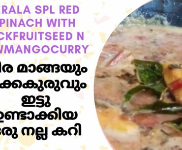 How to make red spinach with raw mango n jackfruit seed kerala style curry(cheerayum maagayum curry)