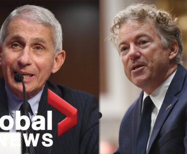 Coronavirus: Rand Paul, Dr. Fauci debate when to reopen schools amid COVID-19 pandemic