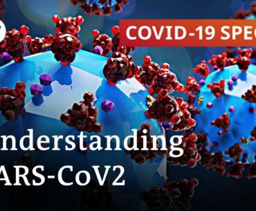 Researching coronavirus: What are the findings? | COVID-19 Special