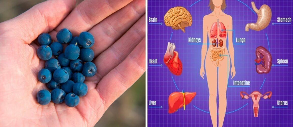 7 Proven Health Benefits of Blueberries