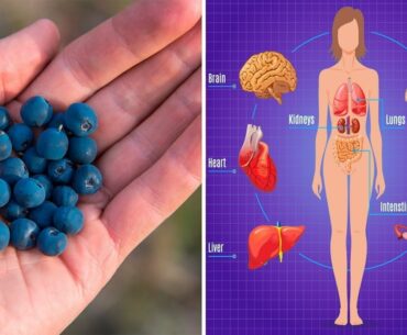 7 Proven Health Benefits of Blueberries