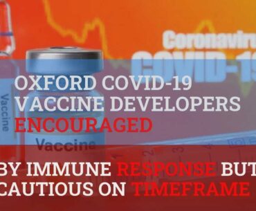 Oxford COVID-19 vaccine developers encouraged by immune response but cautious on timeframe