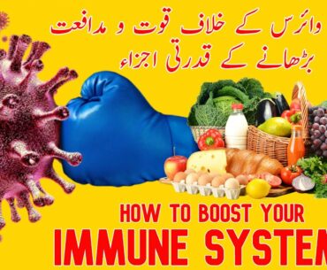 HOW TO BOOST IMMUNE E SYSTEM? | SEVEN NATURAL DIETS TO MAKE IMMUNE SYSTEM STRONGER- BY NJStories