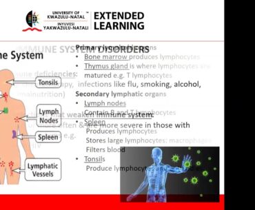 Webinar: Immunity, Nutrition and COVID-19: Separating Facts from Fiction