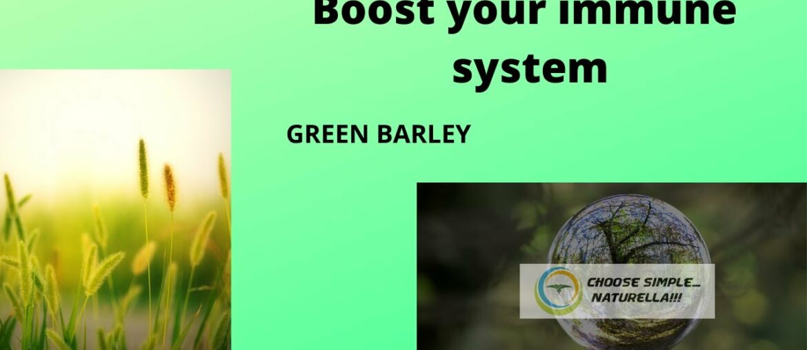 Boost your immune system with Green Barley