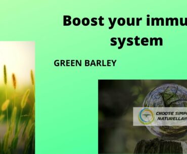 Boost your immune system with Green Barley