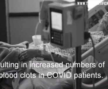 COVID-19 LEADS TO HYPERACTIVITY IN BLOOD CLOTTING CELLS