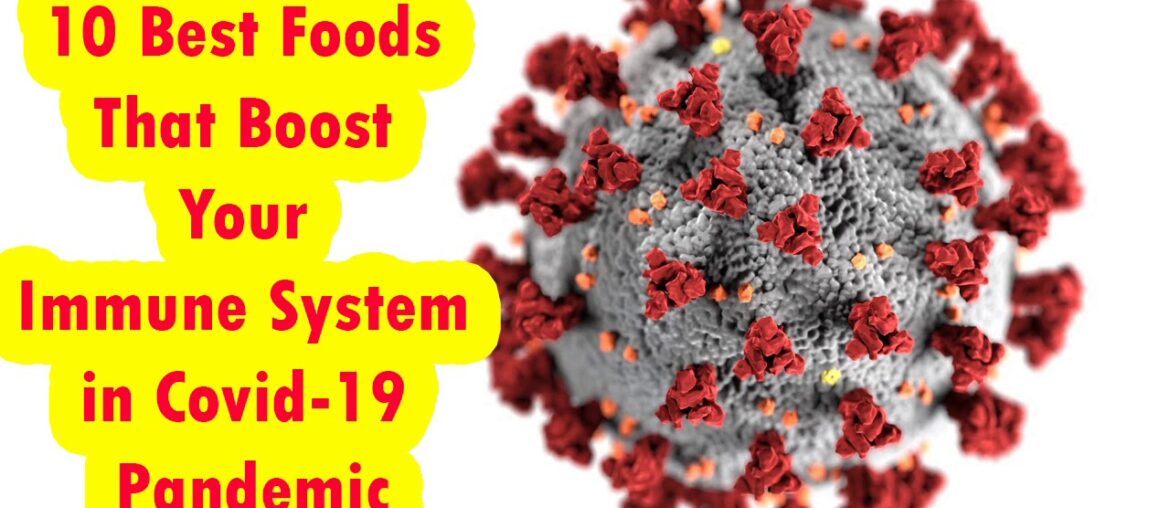 10 Best Foods That Boost Your Immune System in Covid 19 Pandemic