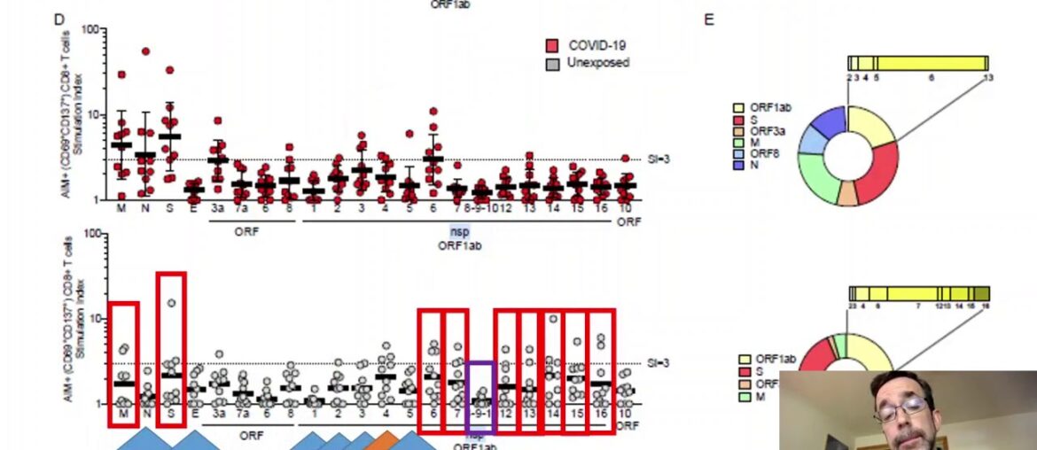 COVID-19 Data Update for July 4 (2/3): Can the common cold protect against COVID-19?