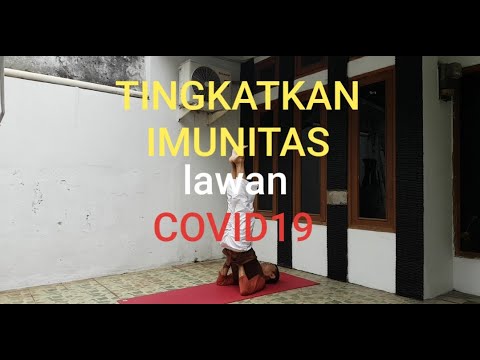 Kelas Yoga Tingkatkan Imunitas Tubuh Lawan Covid19 Semmyoga